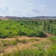 180sqm Estate Land for 2-Bedroom Terrace Duplex with C of O - 1