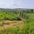 180sqm Estate Land for 2-Bedroom Terrace Duplex with C of O - 2