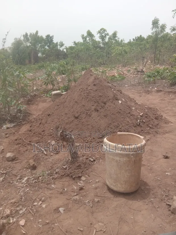 Filin Noma Don Siyarwa A Moro, Oyun - 1