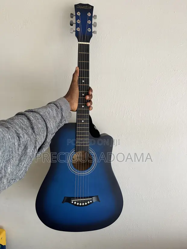 Brand New Acoustic Guitar with Bag & Picker - 1