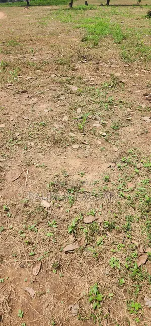 Spacious 250SQM Residential Land for Sale in Kabusa