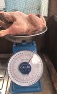 Tashar Ma'auni ta Kitchen/Kasuwanci 20kg - 3