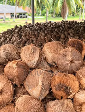 Akwai Kwakwa Da Aka Cire Fata