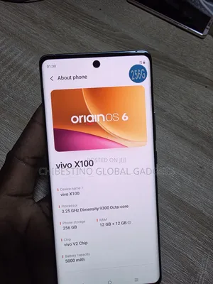 Vivo X100 256GB Blue - Foreign Used