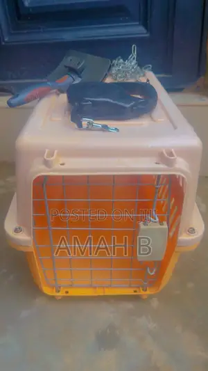 Neatly Used Pet Carrier, Retractable Leash & Fur Brush