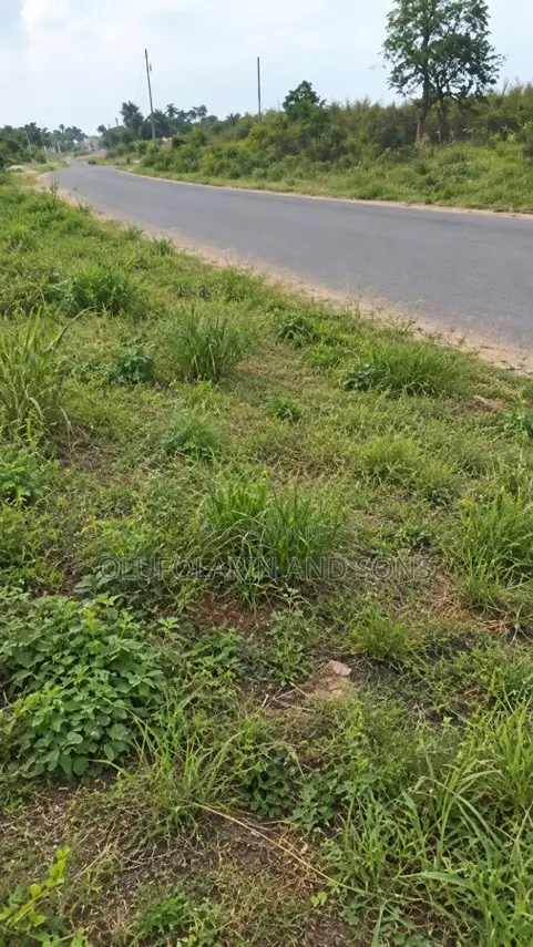 6 Plots (2,779 SQM) on Siun-Owode Road, Ogun - Direct Owner Sale - 1