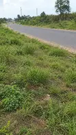 6 Plots (2,779 SQM) on Siun-Owode Road, Ogun - Direct Owner Sale - 1