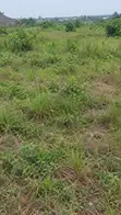 6 Plots (2,779 SQM) on Siun-Owode Road, Ogun - Direct Owner Sale - 3