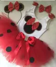 ND Branded Kiddies Wear - Silk & Tulle Set - 5