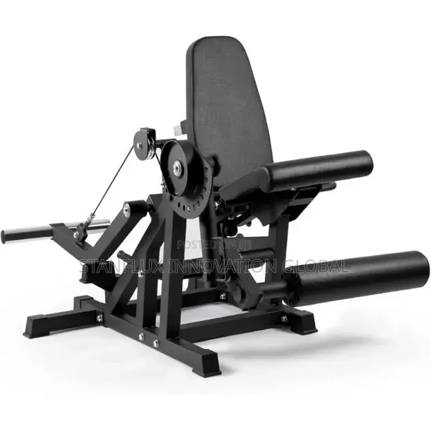 Commercial Leg Extension/Curl Machine - 1