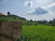 Filin Zama na Siyarwa a Asaba - 2