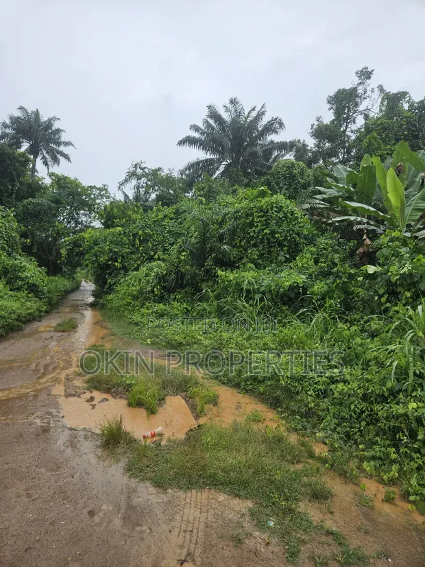 2000 Acres na Filin Kasuwanci Kusa da Filin Jirgin Sama na Osun, Alajue - 1