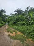 2000 Acres na Filin Kasuwanci Kusa da Filin Jirgin Sama na Osun, Alajue - 1