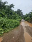 2000 Acres na Filin Kasuwanci Kusa da Filin Jirgin Sama na Osun, Alajue - 2