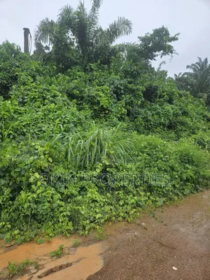 2000 Acres na Filin Kasuwanci Kusa da Filin Jirgin Sama na Osun, Alajue