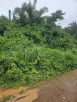 2000 Acres na Filin Kasuwanci Kusa da Filin Jirgin Sama na Osun, Alajue - 3