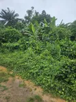 2000 Acres na Filin Kasuwanci Kusa da Filin Jirgin Sama na Osun, Alajue - 4