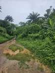 2000 Acres na Filin Kasuwanci Kusa da Filin Jirgin Sama na Osun, Alajue - 5