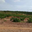Filin Estate 500sqm don Gidan Penthouse mai dakuna 4 + BQ, Guzape - 2