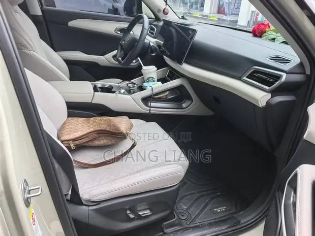 BYD Yuan Up 2024 Electric SUV - 1
