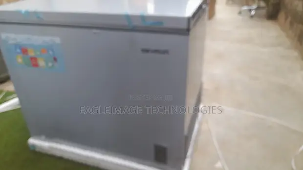 Skyrun BD-260A 260L Chest Freezer - Brand New - 1