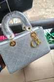 Lady Dior Luxury Handbag - 5