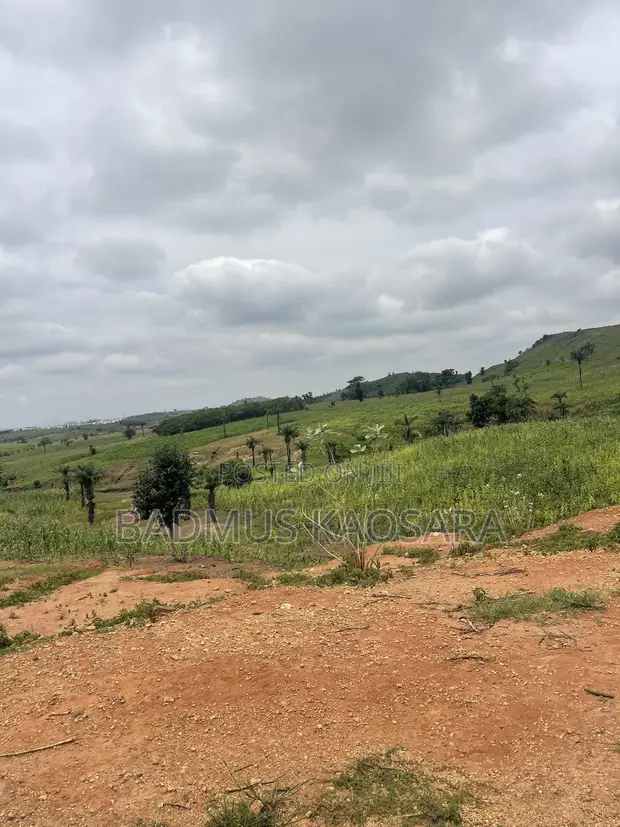 Spacious Residential Land for Sale - 350SQM - 1