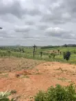 Spacious Residential Land for Sale - 350SQM - 2