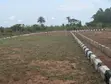 Filin Zuba Jari Mai Kyau a Haven City Estate, Asaba - 2