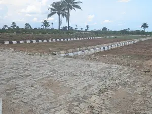 Filin Zuba Jari Mai Kyau a Haven City Estate, Asaba