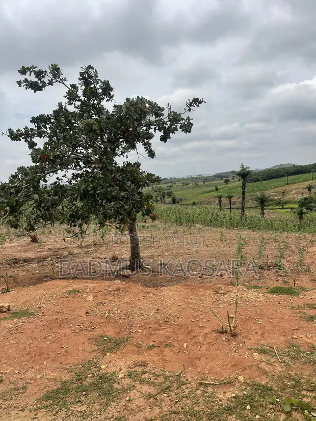 1000SQM Residential Estate Land for Sale - Wasa - 1