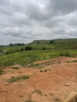 1000SQM Residential Estate Land for Sale - Wasa