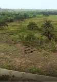 Filin Noma na Apex Gardens Extension Don Siyarwa, Ijebu-Ode - 2