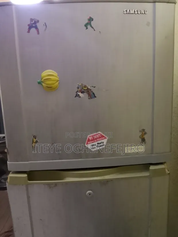 Samsung Double Door Fridge - Needs Gas Service - 1