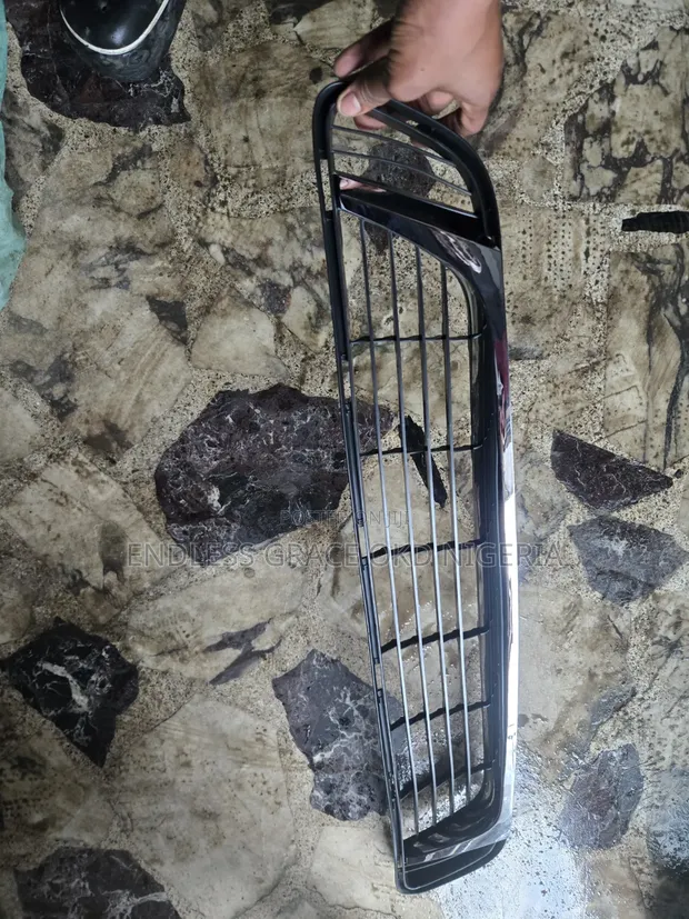 Toyota Venza Down Grill (2015) - 1
