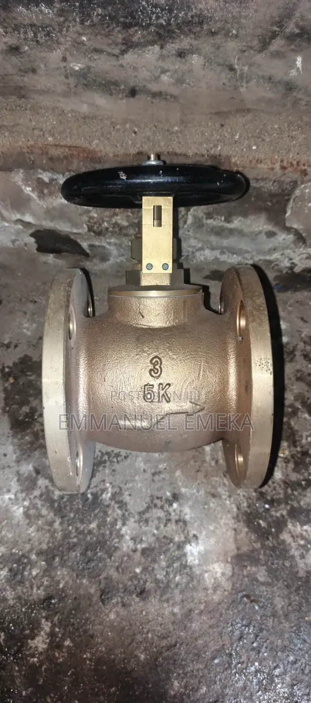 Bronze Flanged Globe Valve 5K - 1