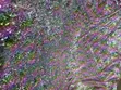 Sample Sequin Fabric - Multi-Color - 4