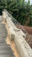 Sanya waya mai ƙaya da kuma wutar lantarki - 1