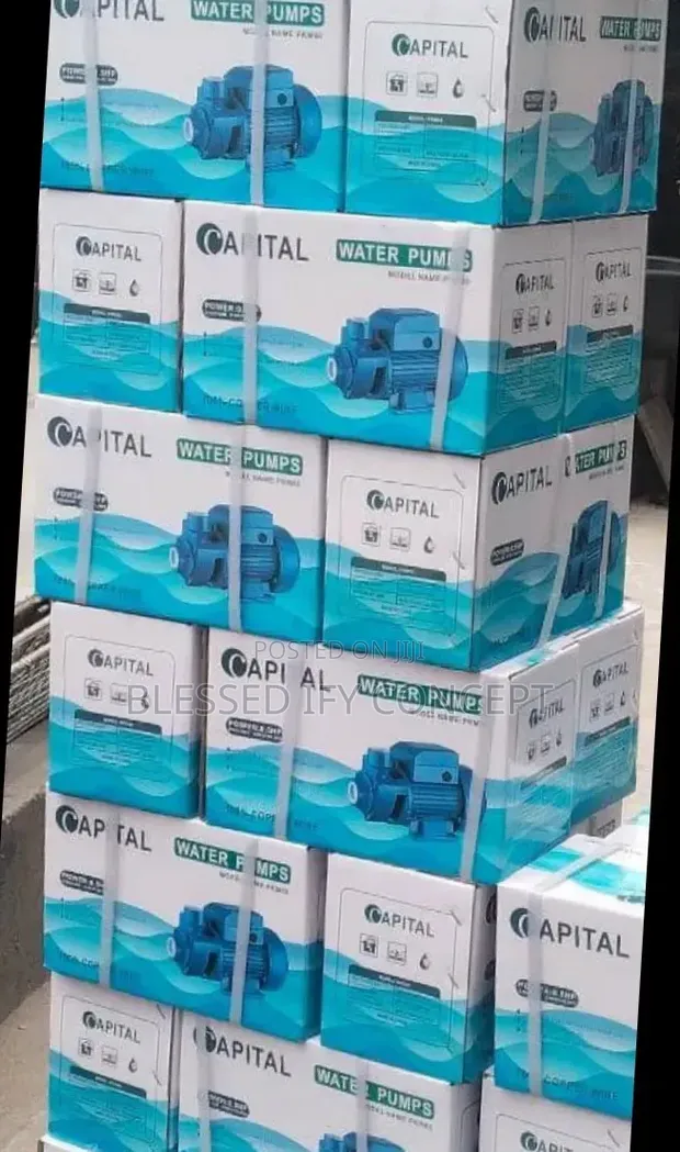 0.5hp Capital Surface Pumping Machine - 1