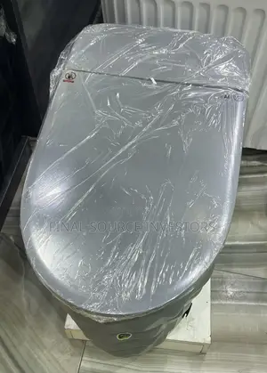 Luxurious Grey Smart WC