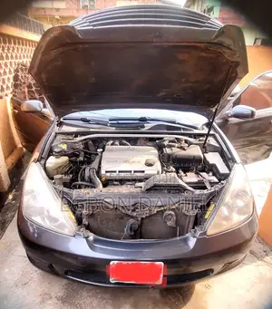 Lexus ES 330 Sedan 2004 Gray