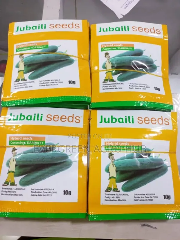 Jubaili Cucumber Seed 5g - 1