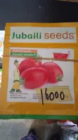 Jubaili Tomato Seeds 5g - 1