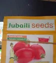 Jubaili Tomato Seeds 5g - 2
