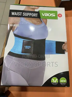 Brand New Waist Support