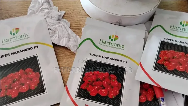 Super Habanero F1 Pepper Seeds (500 Seeds) - 1