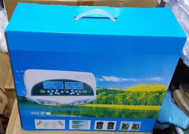 Professional Digital Foot Detox Machine - 1