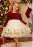 PINK Brand Girl's Ball Dress with Jacket (2 Pieces) - 3