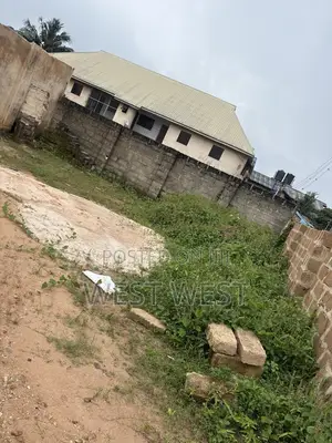Filin Zama 50x100ft Don Sawa, Benin City