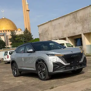 New Dongfeng Rich 6 2025 Silver